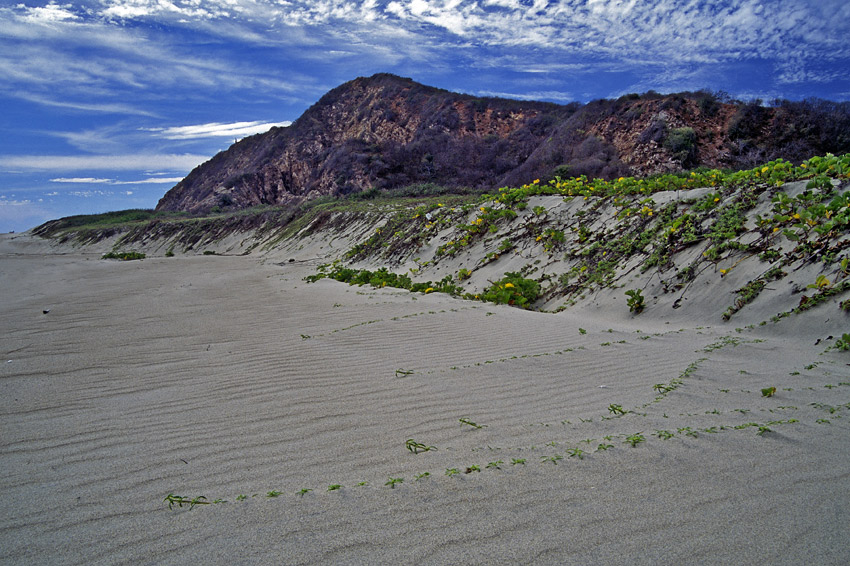 Playa Paraiso