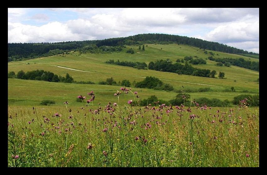 Zielony Beskid