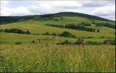 Zielony Beskid