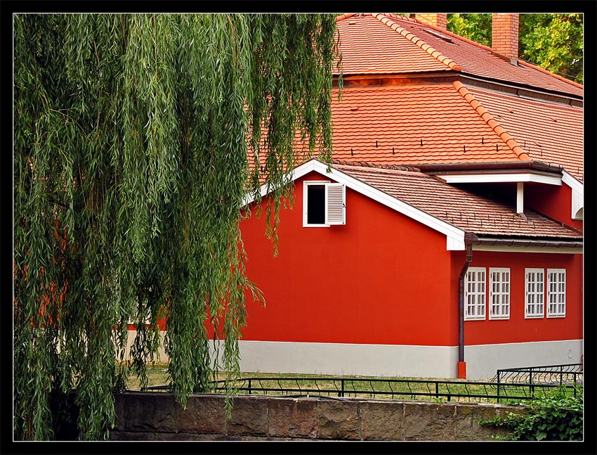 Czekając na znak