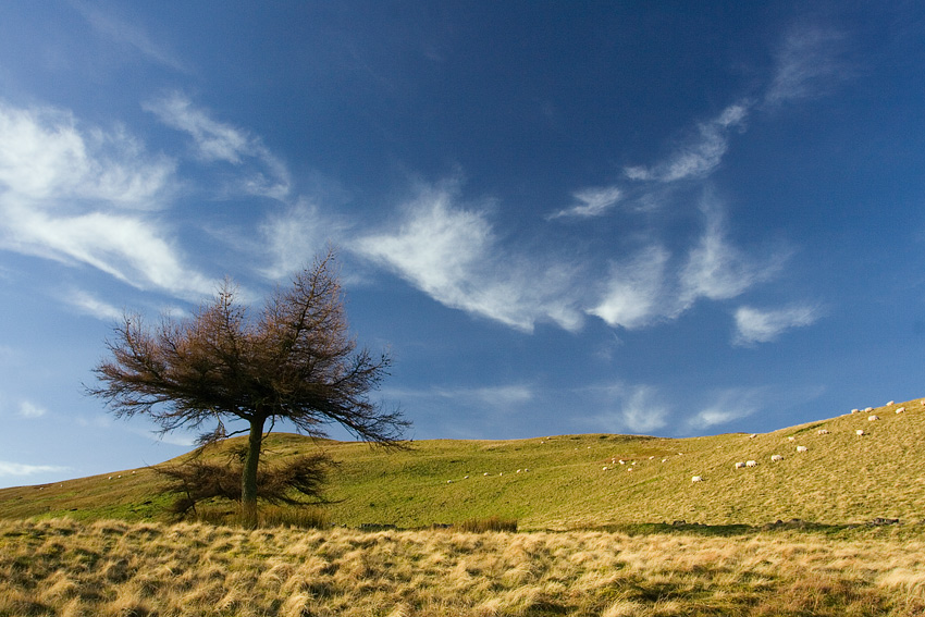 Pentland Hills, Szkocja