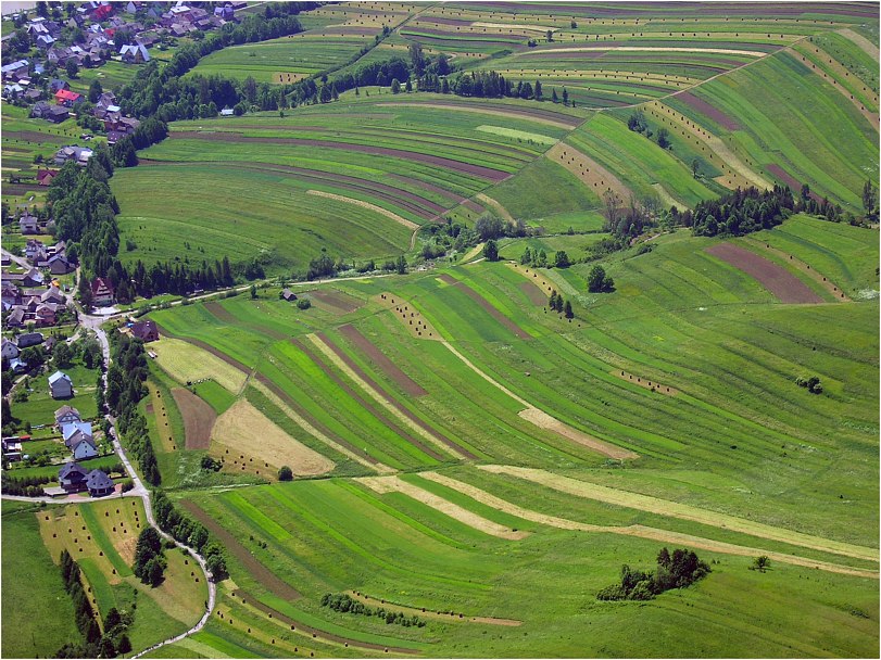 pienińskie pola