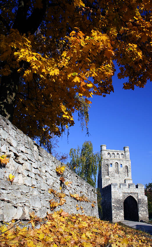 polskie Carcassonne