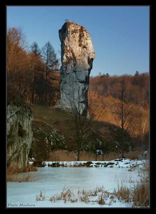 Maczuga Herkulesa