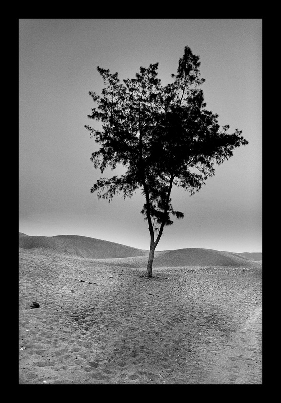 MASPALOMAS