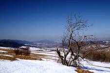 Bieszczady zimą