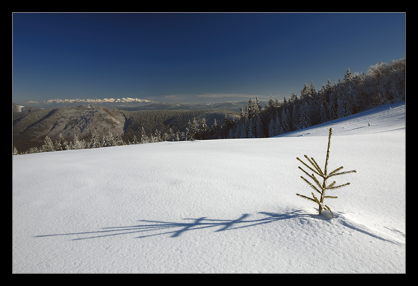 Beskidy ...