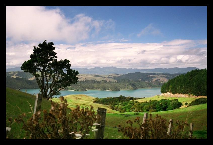 Zatoka Coromandel