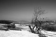 Bieszczady zimą...