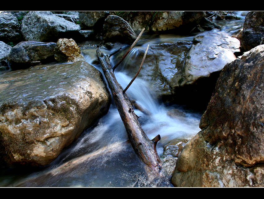 170.Wąwóz Homole - Pieniny