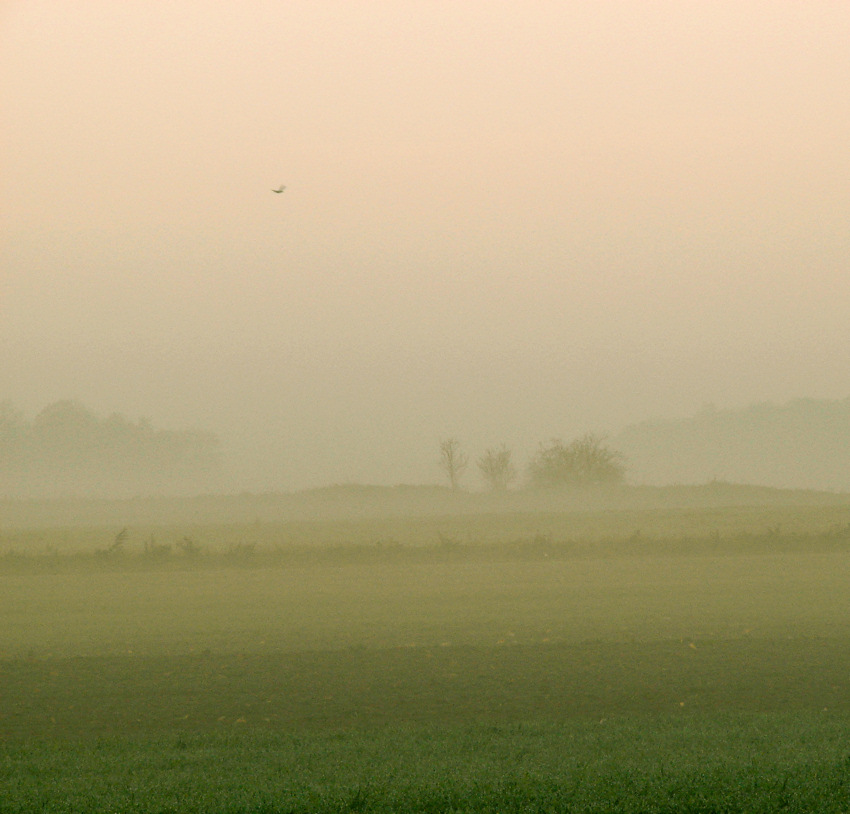 Przelot nad mglistą doliną