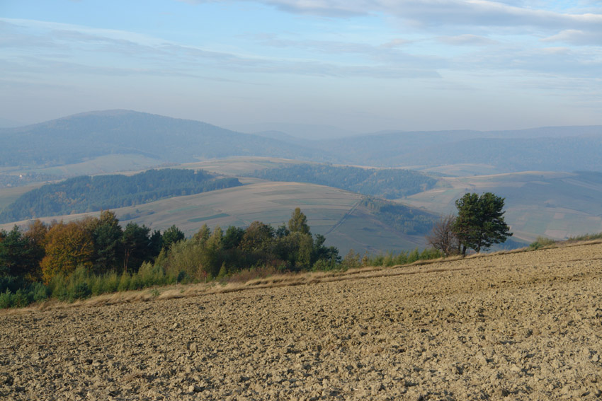 Pola na Kątami