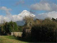 taranaki