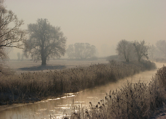 pejzaż