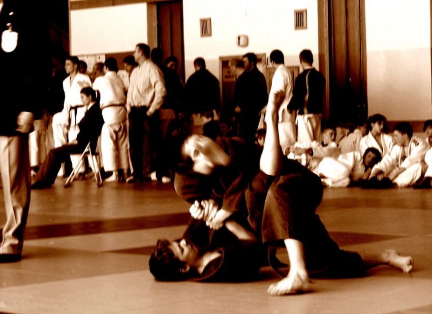 ude-hishigi-juji-gatame:)