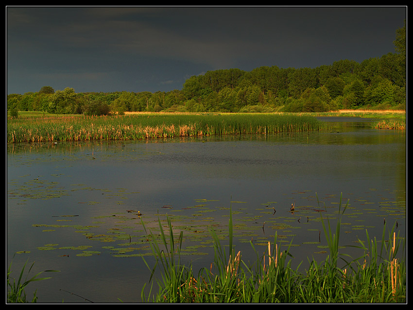 Przed burzą