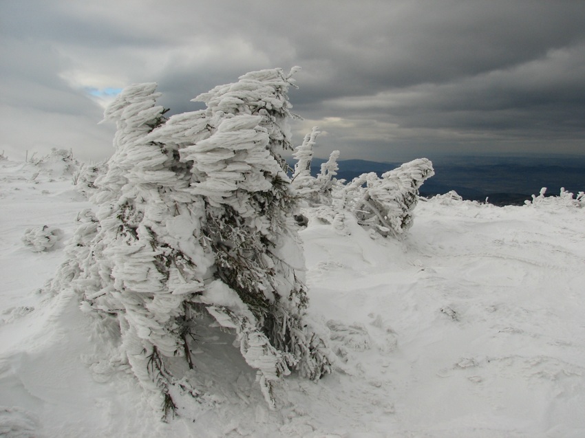 Zima na Czarnym Grzbiecie (Karkonosze)