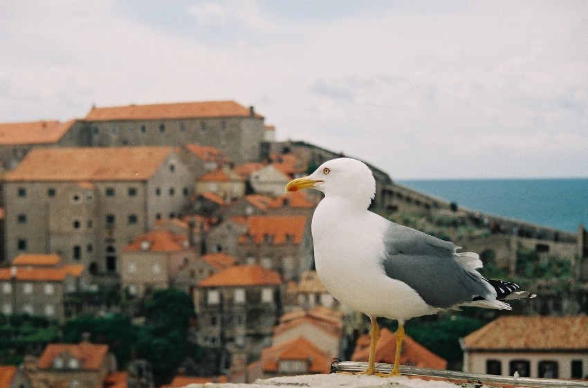 Dubrovnik