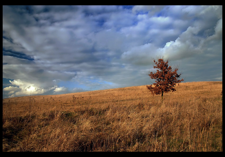 Przedwiośnie 2007