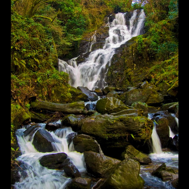 Irlandia, park narodowy Killarney