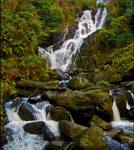 Irlandia, park narodowy Killarney