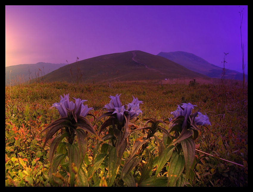 Tarnica Bieszczady Filtry