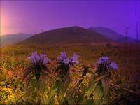 Tarnica Bieszczady Filtry