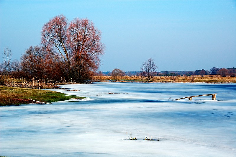 Przedwiośnie