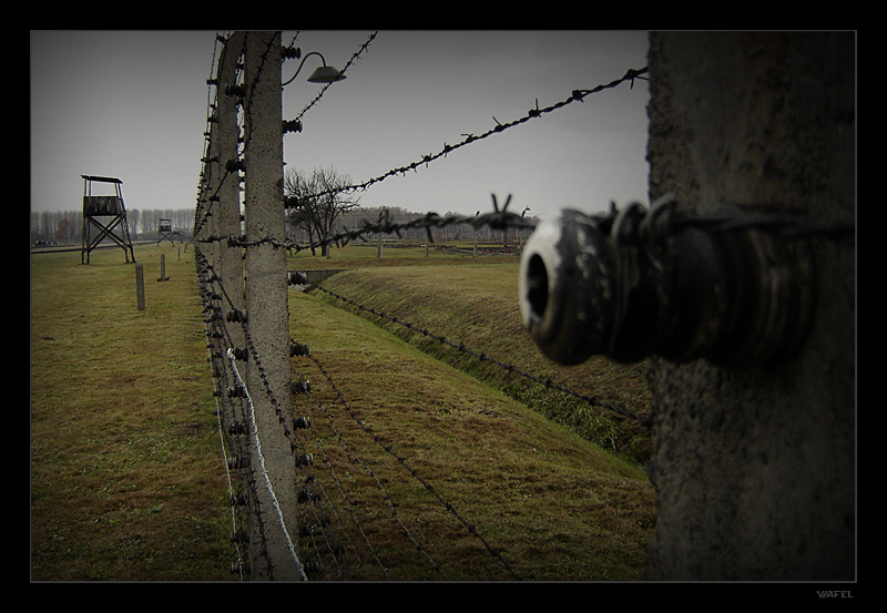 Birkenau