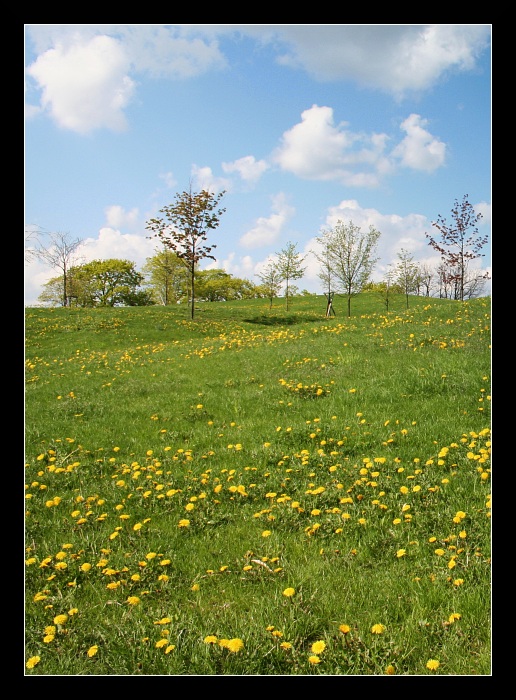 the colour of spring