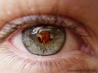 EL OJO