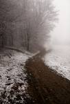 Beskid Sądecki