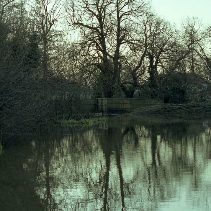 day in the park II