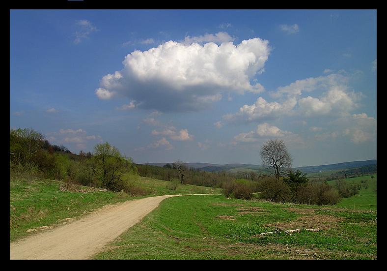 droga ku wiośnie