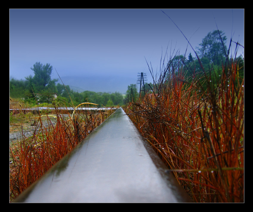 ...autumnal wetery tramline::