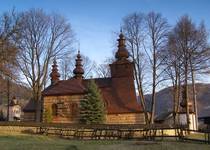 Łosie koło Ropy (Beskid Niski)