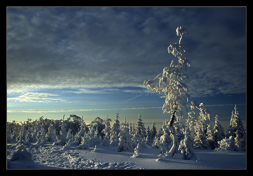 Beskidy ...