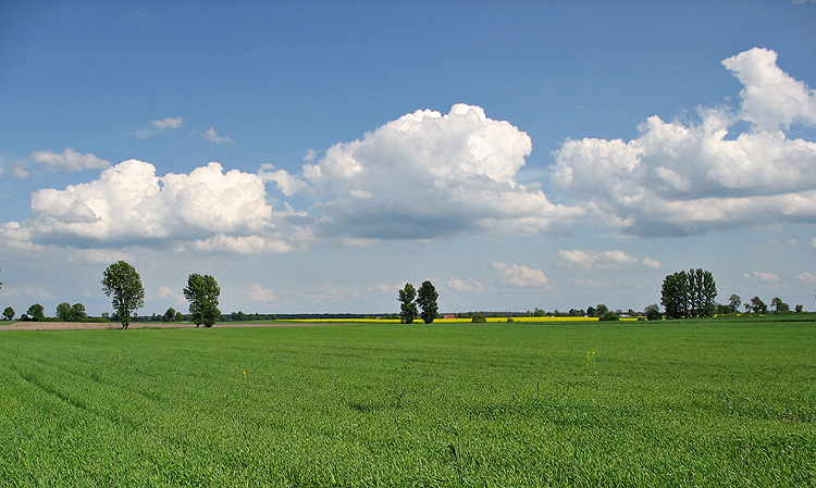 wielkopolska wiosna