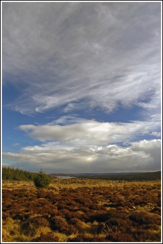 North Tyne Valley