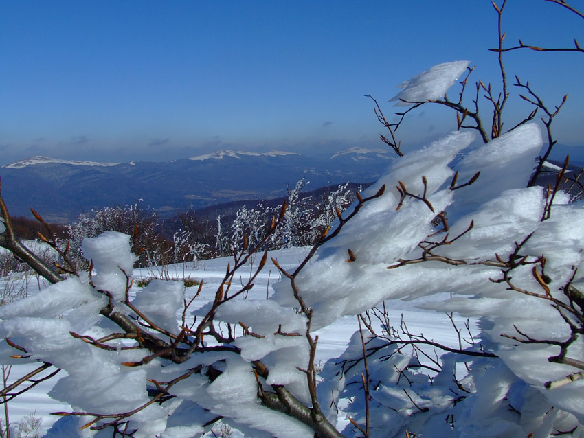 Bieszczady - \\"śniegowa wata\\" na Jaśle