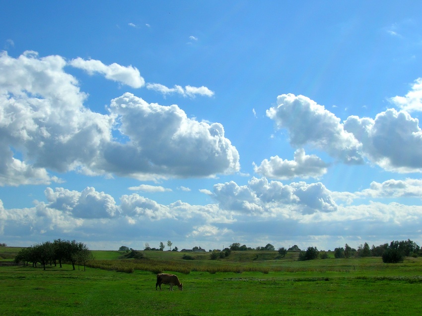 Chrabków 1