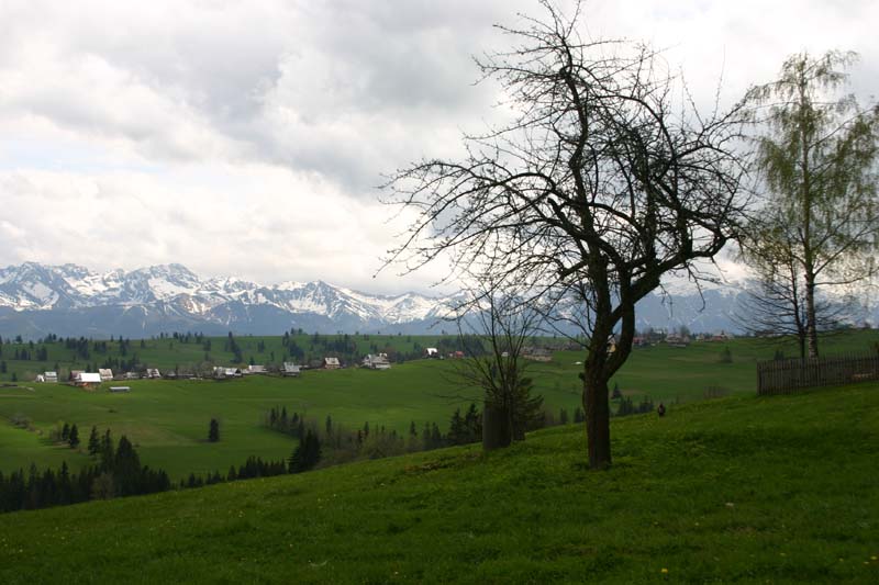 tatry