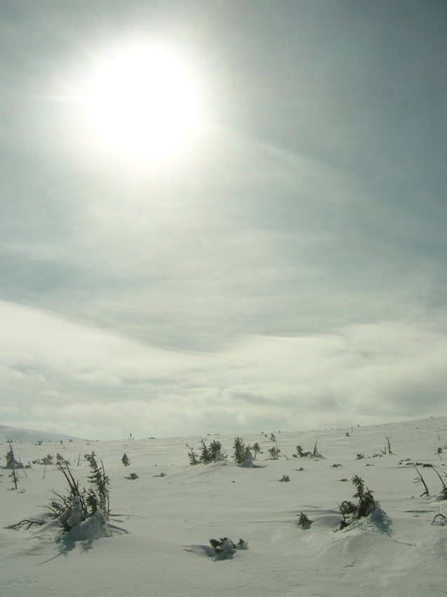 Śnieżna pustynia