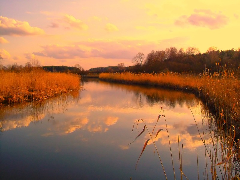 Spogladajac na Lyne