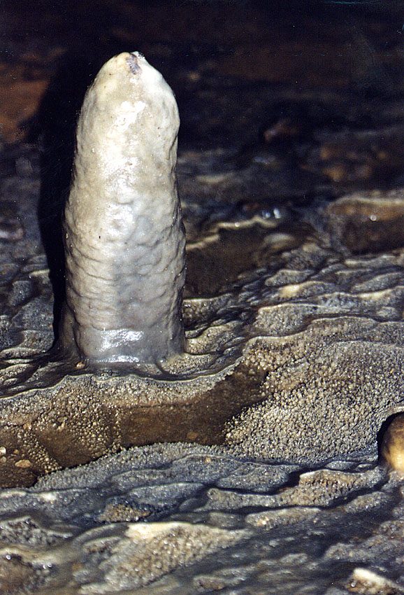 stalagmit - wersja podstawowa