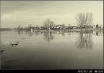 Narew - Uhowo - 2007