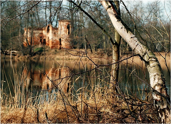 Wielkopolski Park Narodowy -jez.Góreckie