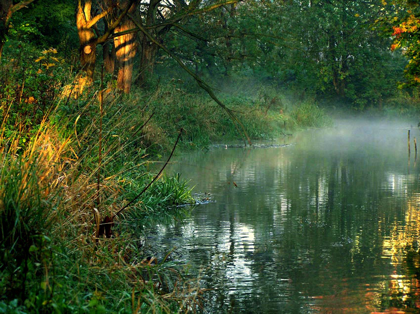 Poranek nad Drwęcą...