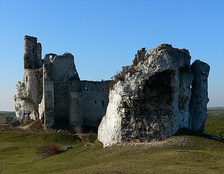 Mirów