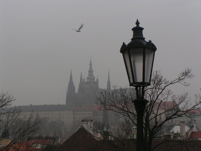 Praga